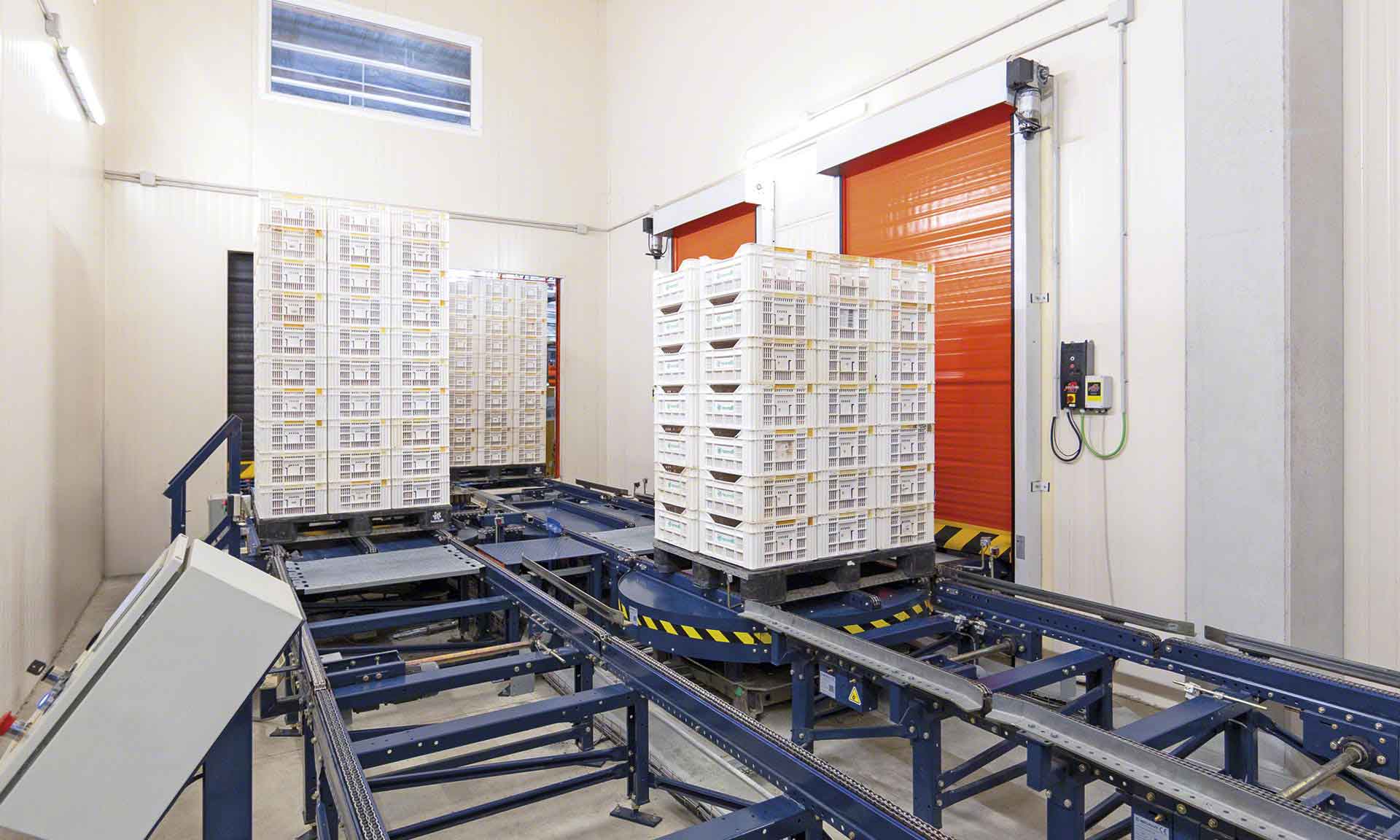 Cold storage distributor optimizes rack to continue expansion