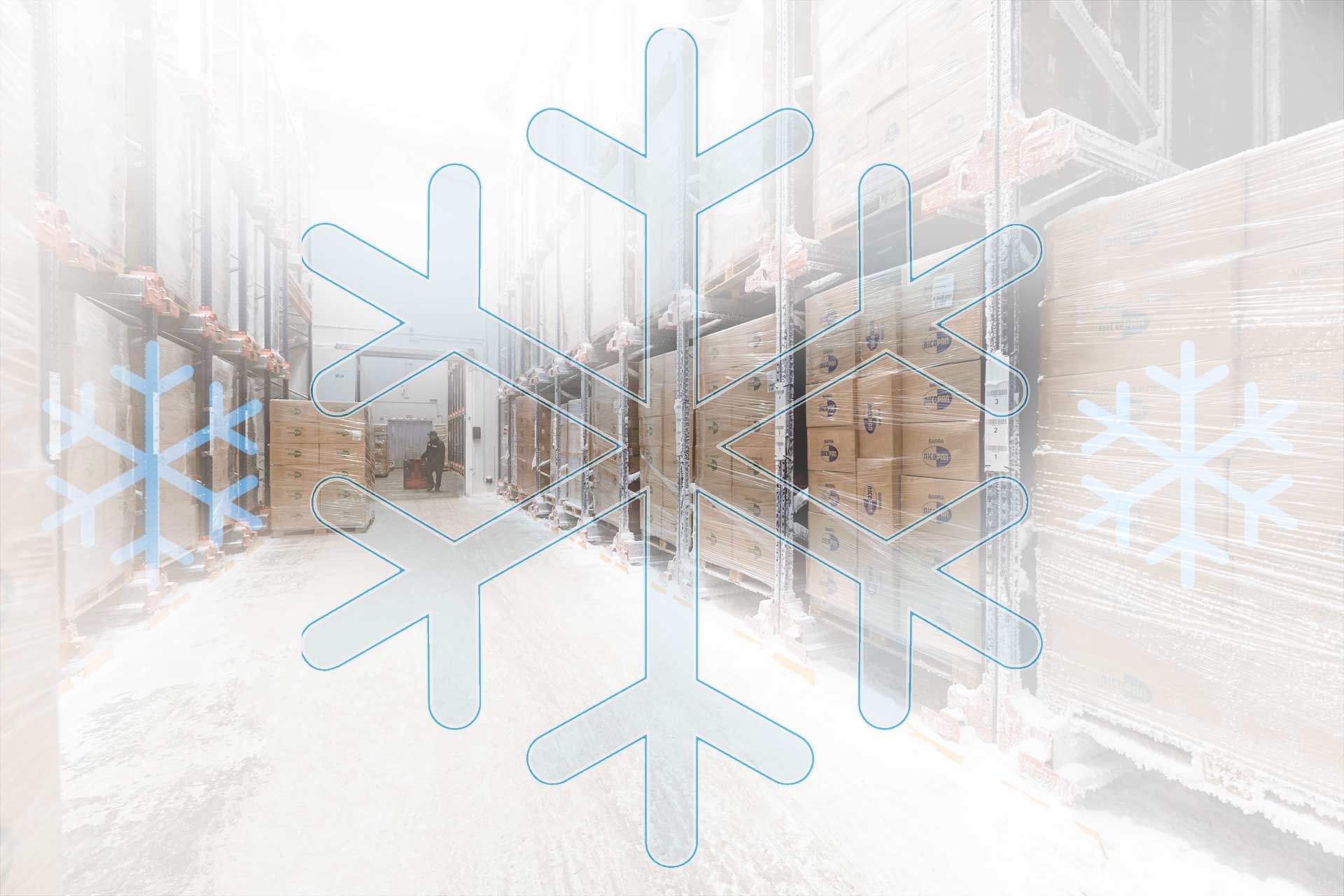Freezer warehouse storage below 32°F Interlake Mecalux