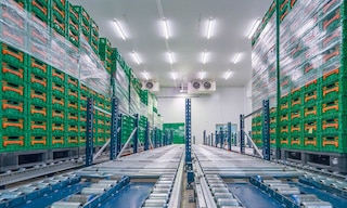 Temperature controlled warehouses keep the goods stored in specific conditions