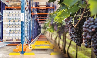 Wine warehousing: making sure your wine stays fine Wine warehousing: making sure your wine stays fine