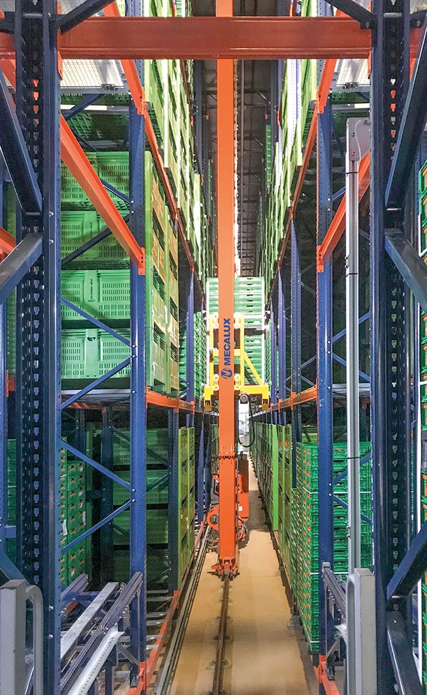 Kiwi Greensun's new, automated warehouse in Salvador de Briteiros, Portugal