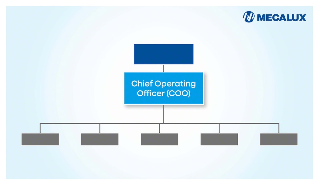 The chief operating officer has a high capacity to influence various areas of the company