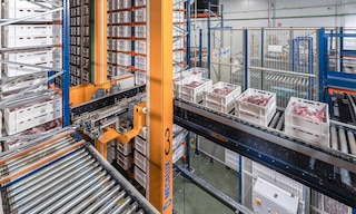 The cold chain in logistics