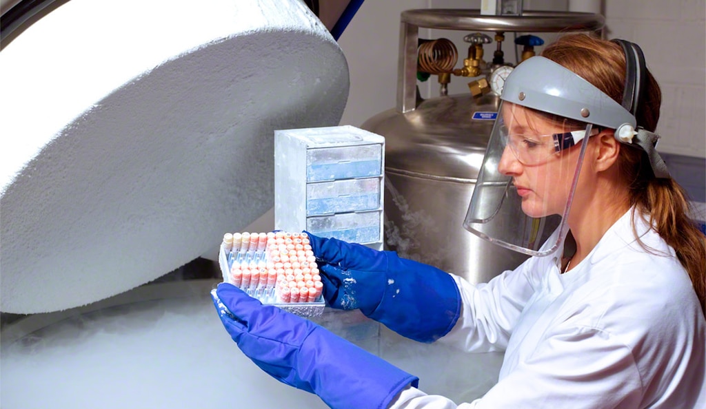 A cryogenic storage facility is a warehouse designed to maintain ultra-low temperatures