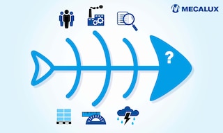 The fishbone diagram is used to detect and visualize the causes of a problem