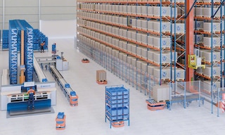 Fleet management software: nexus between the warehouse and robotics
