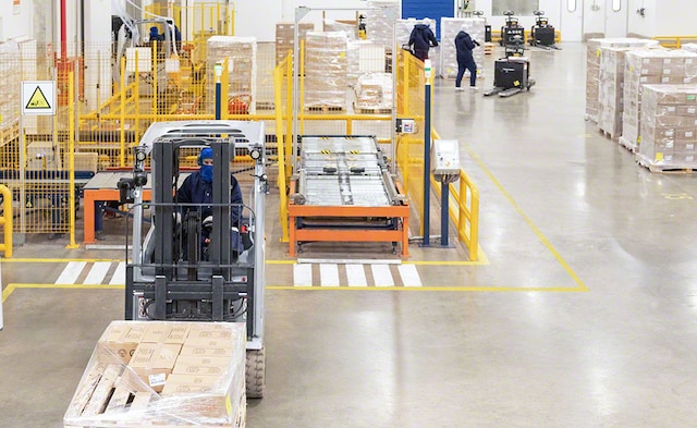Copacol's picking area at frozen and refrigerated temperatures