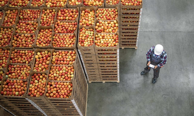 Logistics center of 3PL Megafin in Colombia with Easy WMS