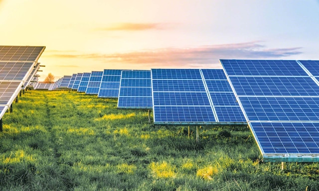 SumSol has digitalized its facilities with Easy WMS software