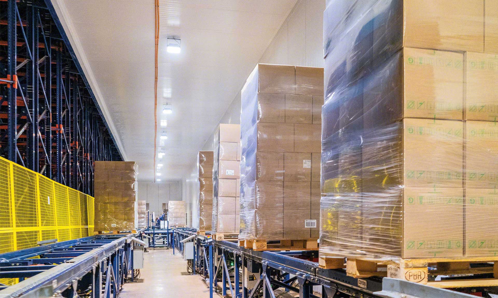 Bem Brasil manages 551,000-plus tons of frozen food with the Automated Pallet Shuttle Bem Brasil manages 551,000-plus tons of frozen food with the Automated Pallet Shuttle