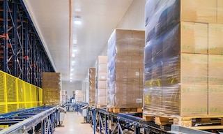 Bem Brasil manages 551,000-plus tons of frozen food with the Automated Pallet Shuttle