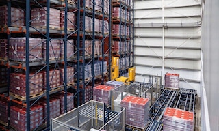 Rica Group opens the Dominican Republic’s first pallet AS/RS