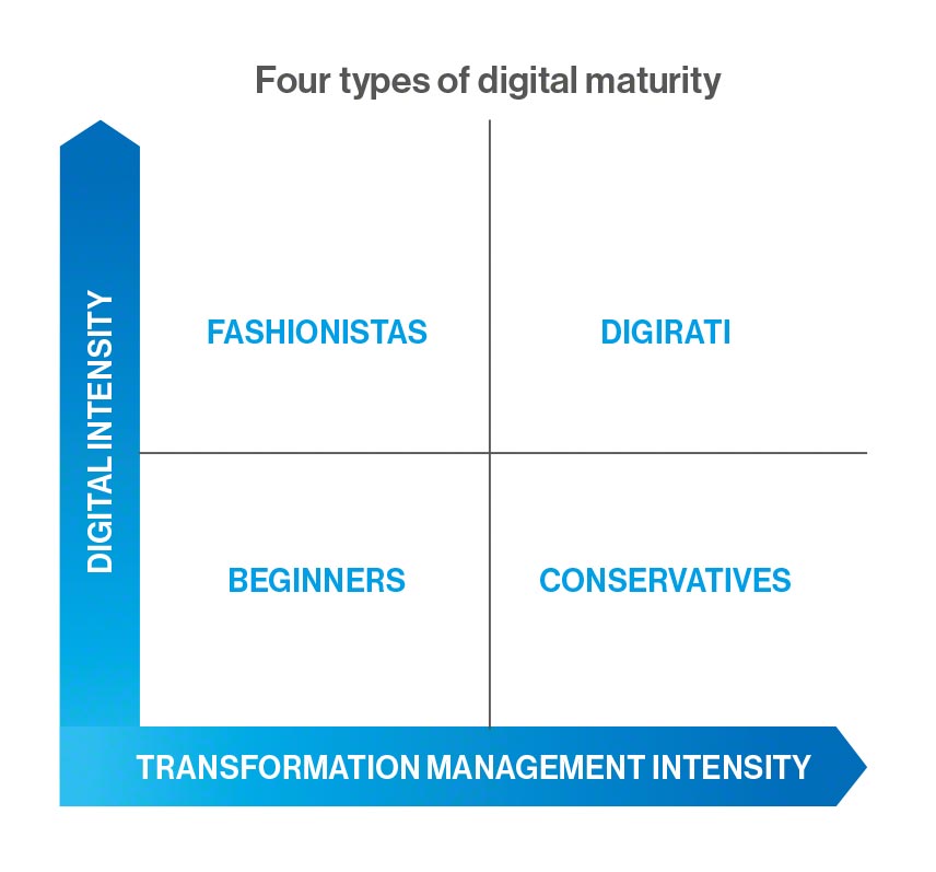 Four types of digital maturity