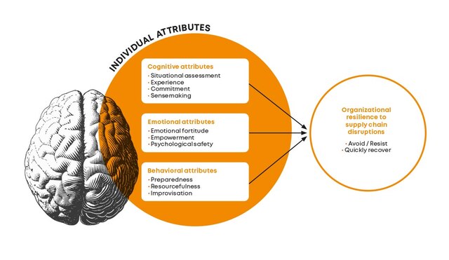 Employee attributes and organizational resilience - Interlake Mecalux