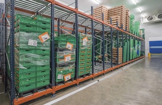 Push-back shelving is ideal for freezer warehouses, as the carts are designed to withstand temperatures as low as -22 °F