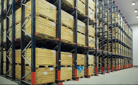 Mecalux has provided Alifrut with four blocks of drive-in pallet racks in its frozen storage chamber